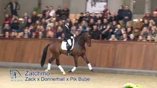 Blue Hors Zatchmo débute le Grand Prix