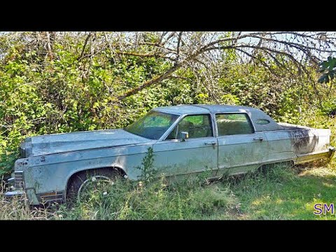 Rescued 77 Lincoln Continental Town Car - Rats and Mold Oh My! Will It Start, Run and Drive?