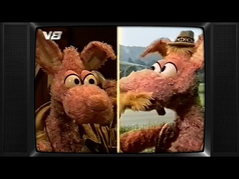 TV: Ab Normaal (20030117¿) | Konijn | Schuine Moppen