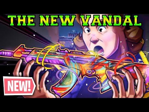 NEW SENSATION Vandal Made Me ONE TAP Everyone! - Valorant