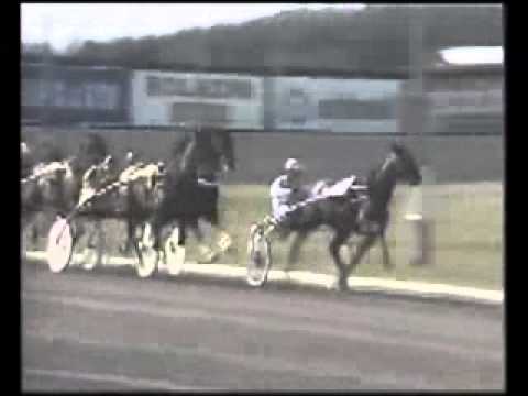 Olympiatravet 1988 -Sugarcane Hanover