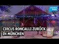 Circus Roncalli Kehrt Nach Zwei Jahren Zurück In München