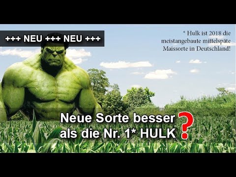 NEU: Bringt dieser Silomais | Energiemais höhere Erträge in der Maisernte 2019 als die Nr. 1* Hulk?
