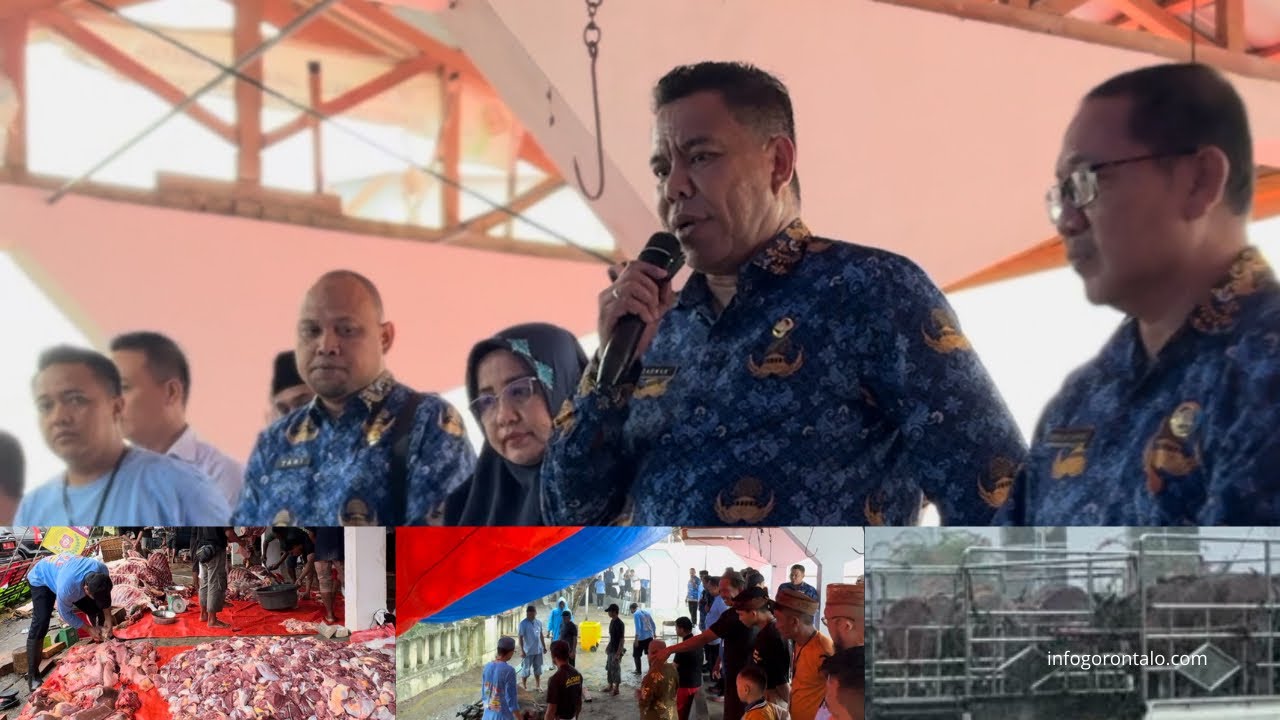 Idul Adha 1445 H, Sekretariat Deprov Gorontalo Sembelih 16 Hewan Kurban