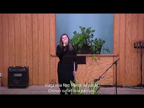 Slujba Bisericii 2026-02-01