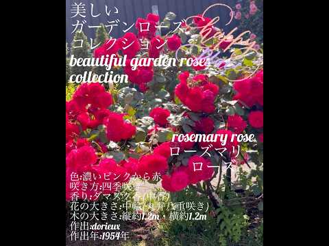 子供のためのガーデニング活動：春に子供たちに提供できる趣味は何ですか？  庭園