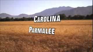 Carolina - Parmalee(Lyrics)