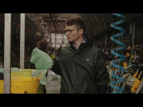 DAIRYWEAR - Ahead of the Herd