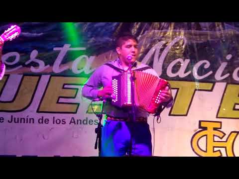 LOS HERMANOS NAMUNCURA