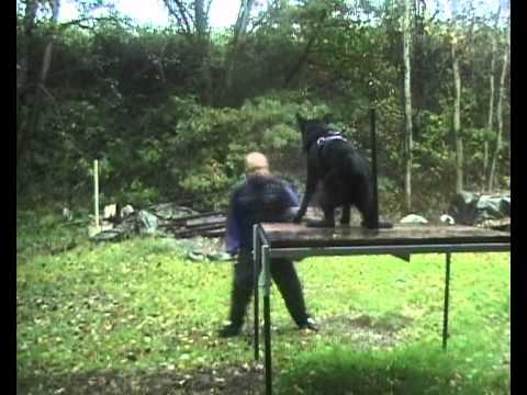 Gerry z Vodňanské doliny