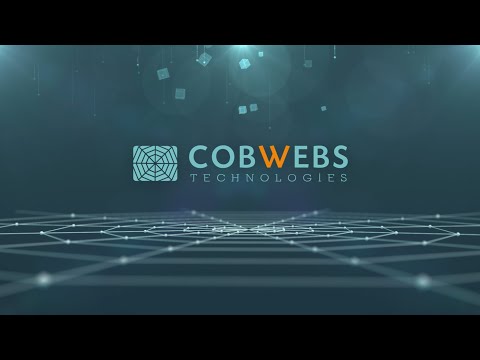 Cobwebs Technologies-Overview