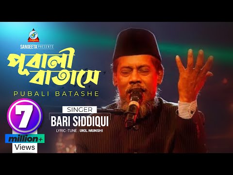 Pubali Batashe | Bari Siddiqui | পূবালী বাতাসে | বারী সিদ্দিকী | Music Video