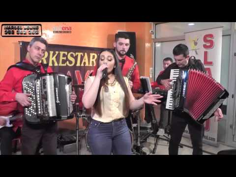 Orkestar Vojkana Antonijevica Slavuja (Milica Mitic) -  Zeljoteka 2016