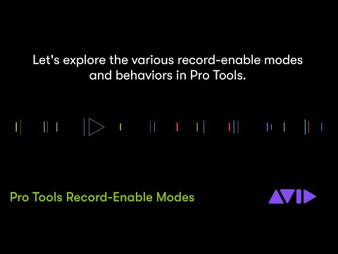 Avid Pro Tools Software 1-Year Perpetual License Update & Support Plan Renewal (Student, Download) image 5