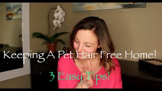 Keeping You Home Pet Hair Free! | 3 Tips To Manage It All, Easily.