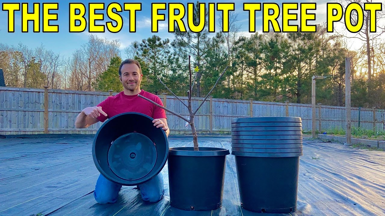 Watch video I Found The PERFECT FRUIT TREE CONTAINER! Now I Found The PERFECT FRUIT TREE CONTAINER!
