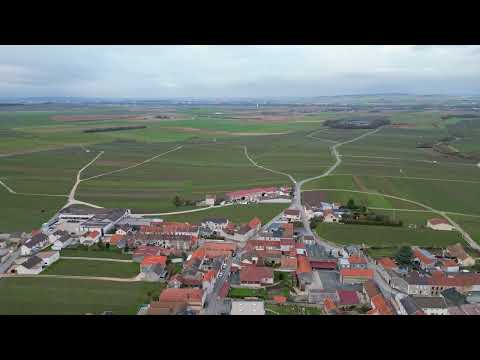🍾DRONE VIDEO - Mailly-Champagne🍾  a GRAND CRU village in Champagne’s Montagne de Reims #wine #drone
