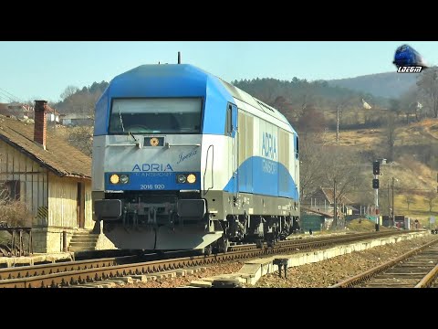 Siemens ER20 Hercules 🚆 2016 920-8 LTE in Defileul Crișului Repede Canyon - 18 March 2022