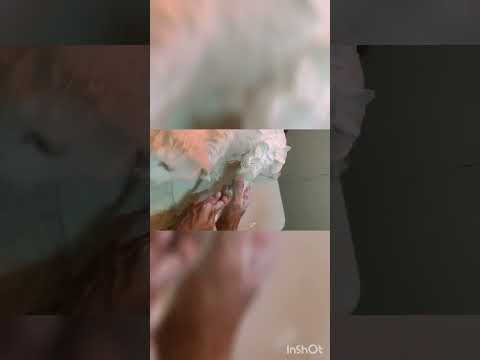 LILI Spa Bath 🚿🛁 #viralvideo #2022 #subscribe #catlover #grooming #catspabath