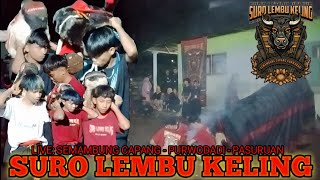 Download lagu SEPESIAL CLOSINGAN MBEROT|| SURO LEMBU KELING LIVE: SEMAMBUNG CAPANG PURWODADI PASURUAN  mp3