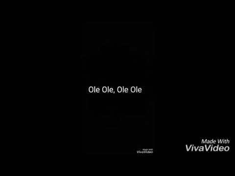 CVIJA AND IN VIVO-DERBI(TEKST)