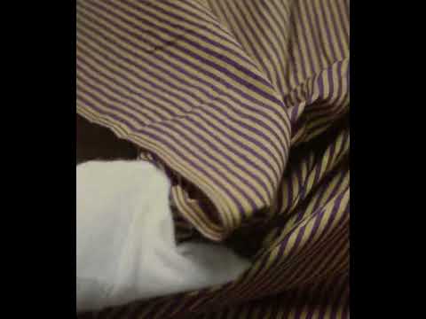 Stripe Yellow Brown Pure Cotton 95 GSM Handwoven Fabric — video