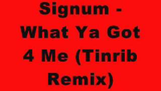Signum - What Ya Got 4 Me (Captain Tinrib Remix)