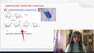 Сахароза