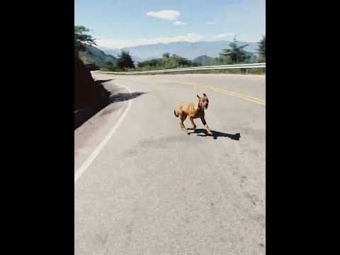 Yendo en moto navi a la Provincia heroica de San Pablo, Cajamarca #arcechava