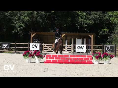 Calvados Clair'Elle Z SAUT