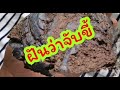 ทํานายฝัน เลขเด็ด แม่นๆ ฟรี