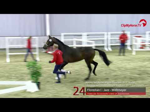 24 Junghengst v. Florestan I - Jazz