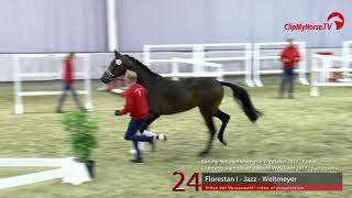 Video di Florestanus 3