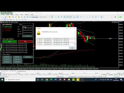 Video Big Dream Expert Advisor