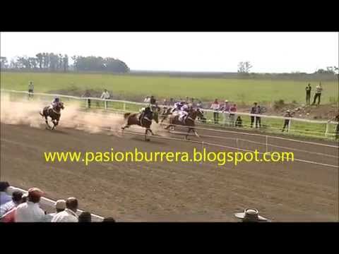 Halcon Bryan RDA, Curuzu Cuatia (02-08-15)