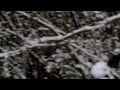 First Snowfall