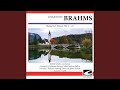 Brahms - Hungarian Dance No. 10 in F major - Presto