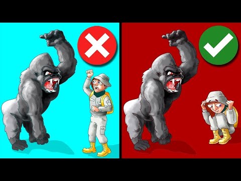 How to Survive Wild Animal Attacks