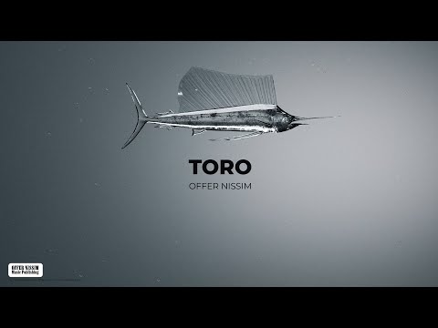 Offer Nissim - Toro