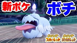 【ポケモンSV】新ポケ「ボチ」登場!!シヌヌワン...!?【スカーレットバイオレット最新情報】