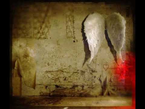 Crows in the rain ~ Requiem For A Dreamer