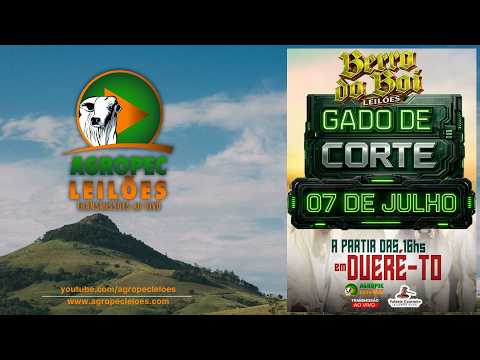 Agropecleiloes LEILÃO GADO DE CORTE | BERRO DO BOI LEILÕES - DUERÉ -TO - 07/07/2026.