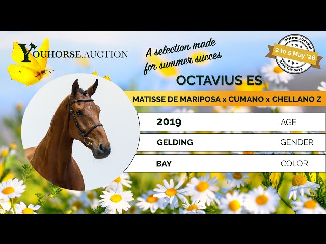 Octavius ES