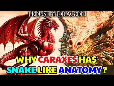 Caraxes Dragon Anatomy – Why Daemon's Dragon Has Snake Like Physiology, Different Than Other Dragons