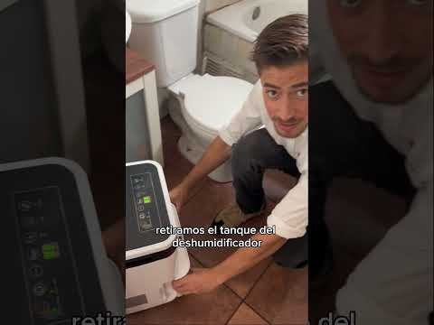 Extrae la humedad con el deshumidificador y evita los problemas relacionados. #deshumidificador