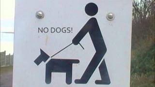 for kristoffer - money for your love