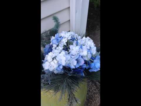 Termite vs Carpenter Ant in Manalapan, NJ