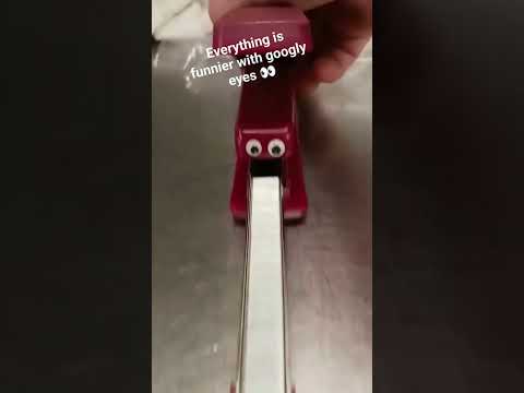 everything is funnier with googly eyes 👀 #fun #funny #googlyeyes #mystable