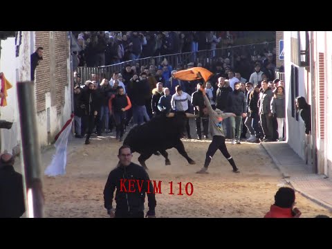 cogidas saltos y revolcones 2024