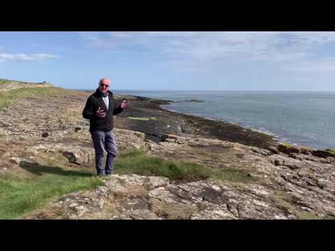 Chris Watson - Staple Sounds for Nature Unwrapped